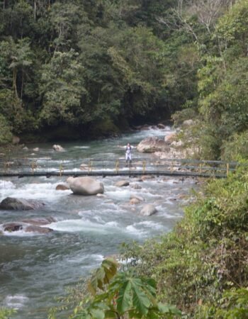 Podocarpus National Park