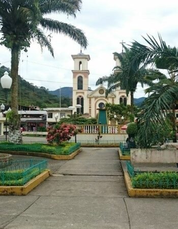 Podocarpus National Park