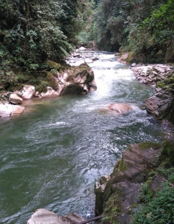 Podocarpus National Park