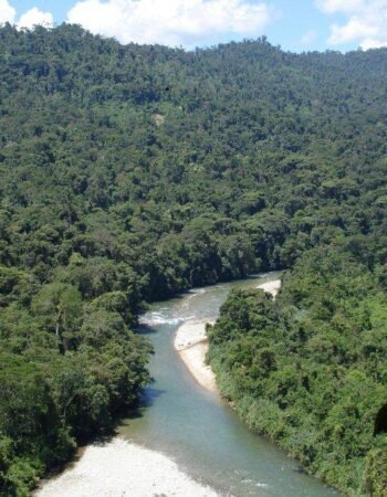 Podocarpus National Park