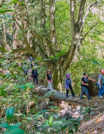 Adventure “Las Palmeras de Machay” 