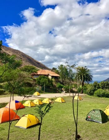 Adventure “Las Palmeras de Machay” 