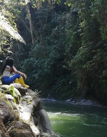 Podocarpus National Park