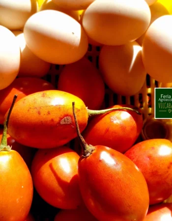 Feria Agroecológica